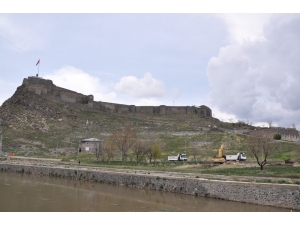 Polen Üreten Ağaçlar Kesildi, Kars Kalesi’nin Önü Açıldı
