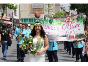 "Düzce Otları Tyche Bereket Festivali" Renkli Görüntülere Sahne Oldu