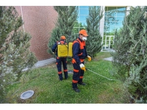 Büyükşehir Haşerelere Savaş Açtı