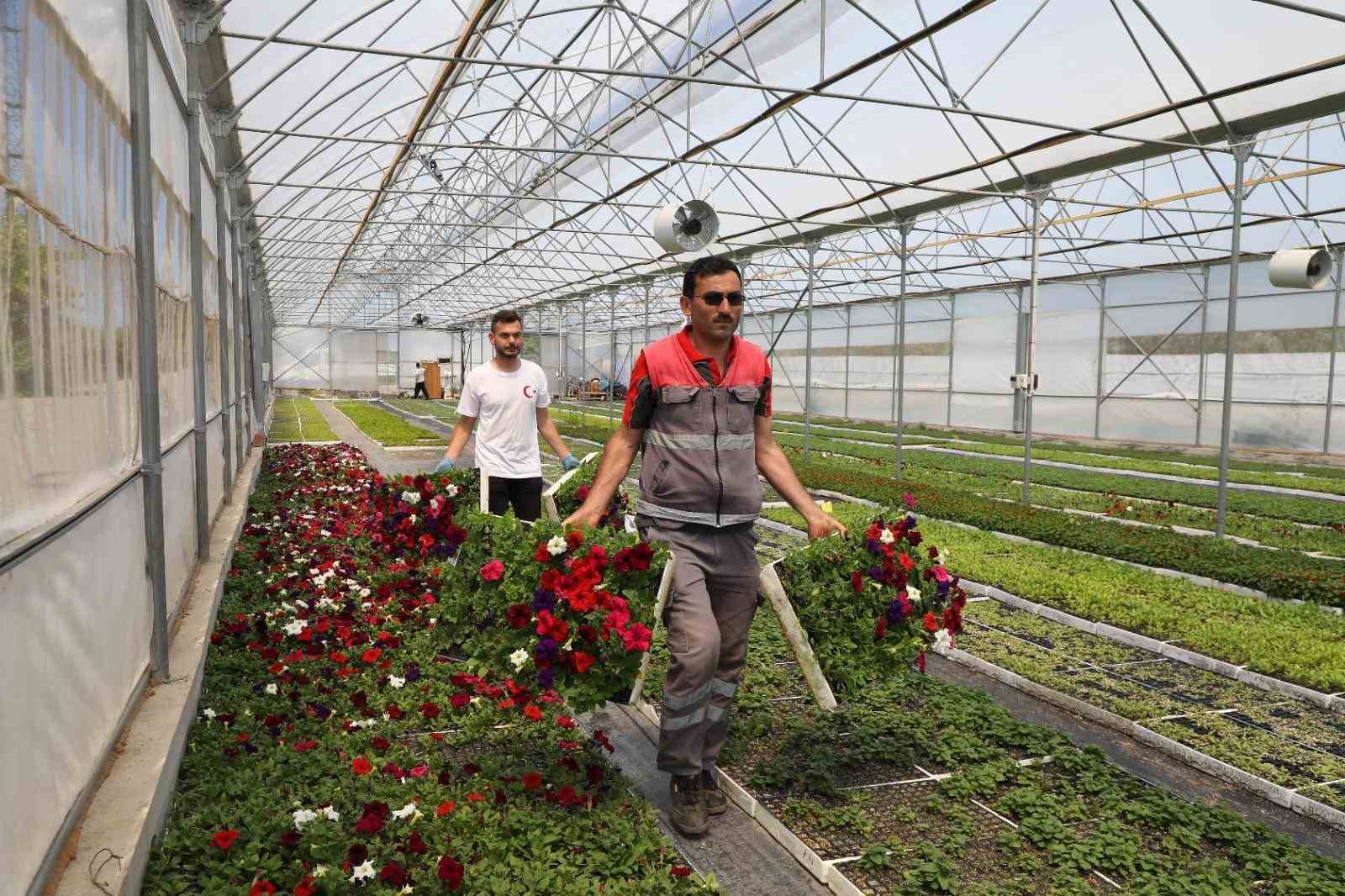 buyuksehir-in-urettigi-cicekler-ordu-yu-renklendiriyor