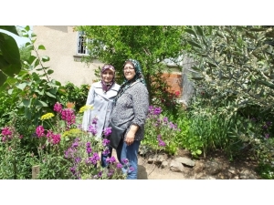 Dutluca’da Kıymet Teyze’nin Çiçek Tutkusu