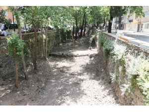 Çaybaşı Deresi Eski Günlerine Kavuşuyor