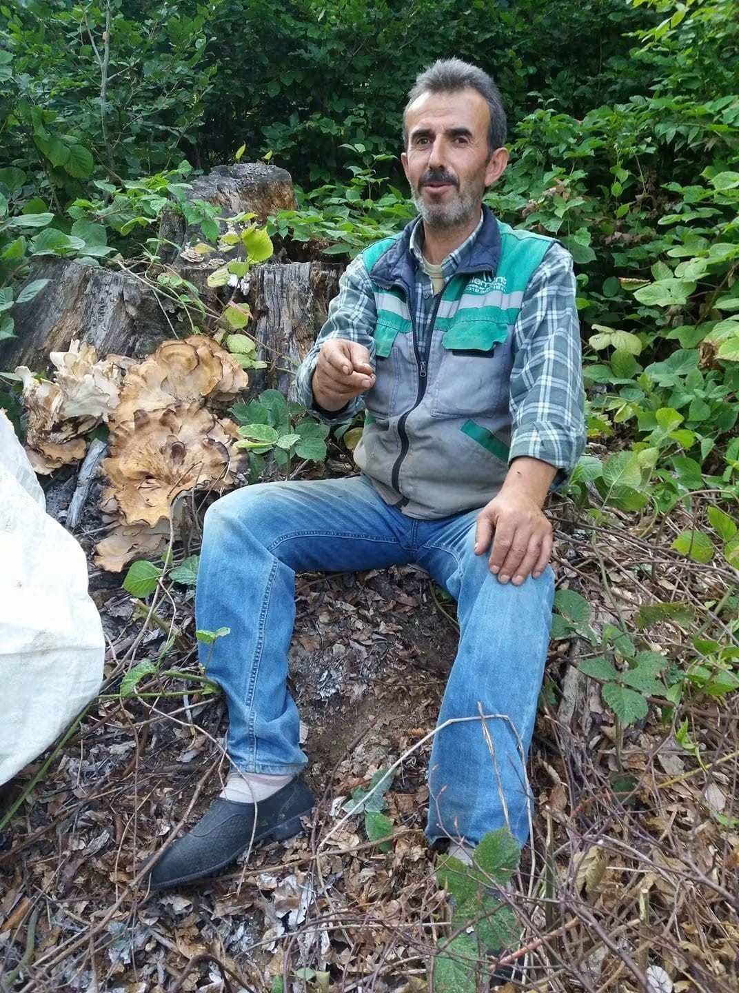 sinop-ta-traktor-devrildi-orman-iscisi-hayatini-kaybetti