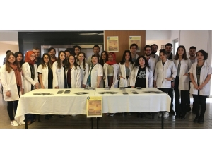 Tıp Öğrencileri, Kurdukları Stantta Güneşin Yarar Ve Zararlarını Anlattılar