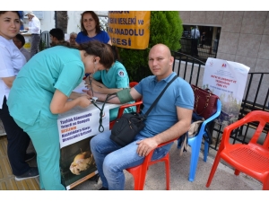 Anamur’da Hemşire Adayları Tansiyon Ölçtü