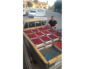 İznik Kirazı Kapışılıyor