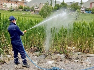 Hakkari’de Haşerelerle Mücadele Çalışması