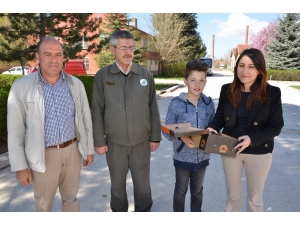 Minik Hayvanseverden Yine Örnek Bir Davranış