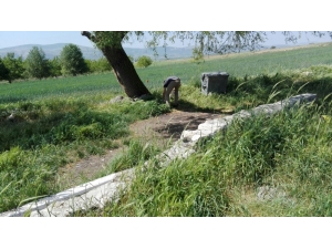 İnönü Belediyesinden Doğa Dostu Çalışma