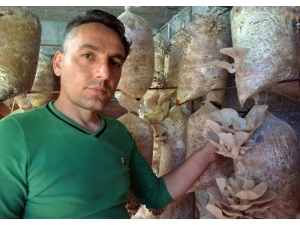 Mantar İçin 20 Yıllık Mesleğini Bıraktı