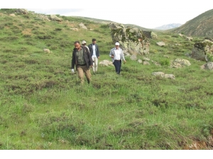 Elazığ’da Nesli Tehlikede Olan Kuş Türleri Ve Sürüngenler Tespit Edildi