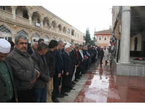 Gazeteci Yazar Yakut Yakamoz Hayatını Kaybetti