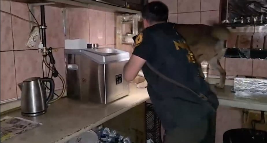 bitlis-te-uyusturucu-operasyonunda-11-tutuklama