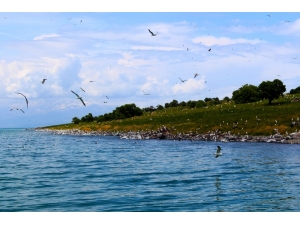 Adır Adası Eşsiz Dokusuyla Büyülüyor