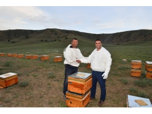 Başkent Balı Markalaştırılacak