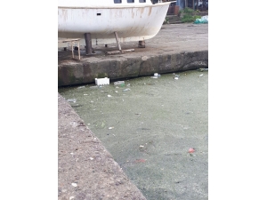 Akçakoca Balıkçı Barınağında Kirlilik