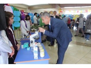 Elazığ’da Öğrenciler Projelerini Sergiledi
