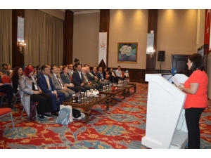 Mardin’de ‘Sağlık Okuryazarlığı’ Çalıştayı