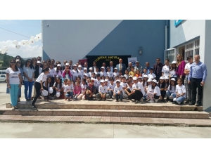 Çam Ağacından ’Oda Parfümü’ Ürettiler