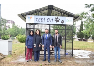 İzmit Belediyesi’nde Yahya Kaptan’a Kedi Evi