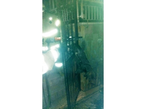 Demir Parmaklıklara Sıkışan Köpeği İtfaiye Kurtardı