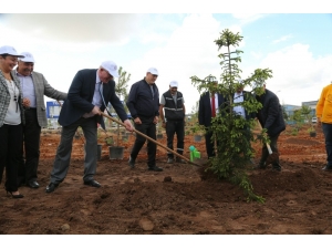 75’inci Yıl Mahallesine Kardeşlik Ormanı