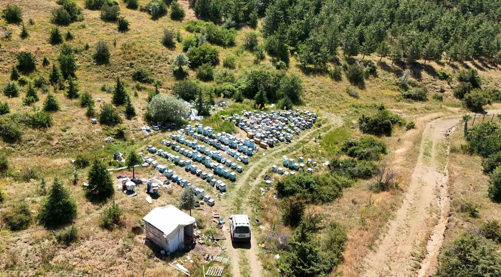 yozgat-in-zengin-bitki-ortusu-aricilara-umut-oldu