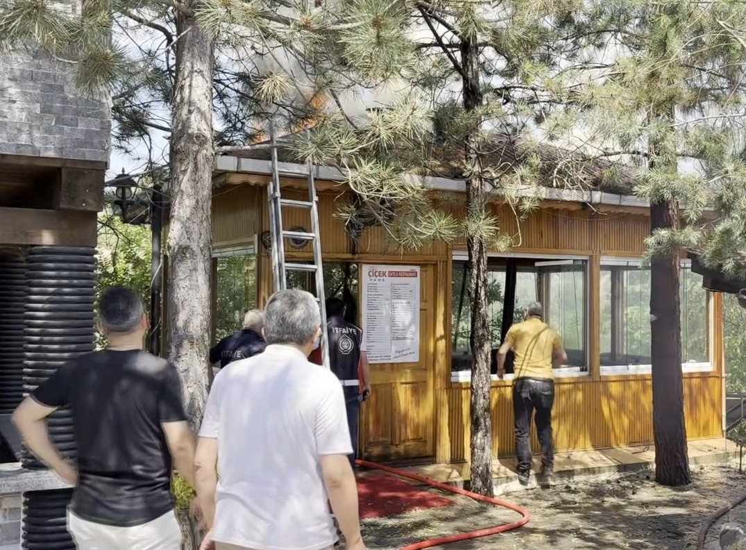 kastamonu-da-tesiste-cikan-yangin-ormana-sicramadan-sonduruldu