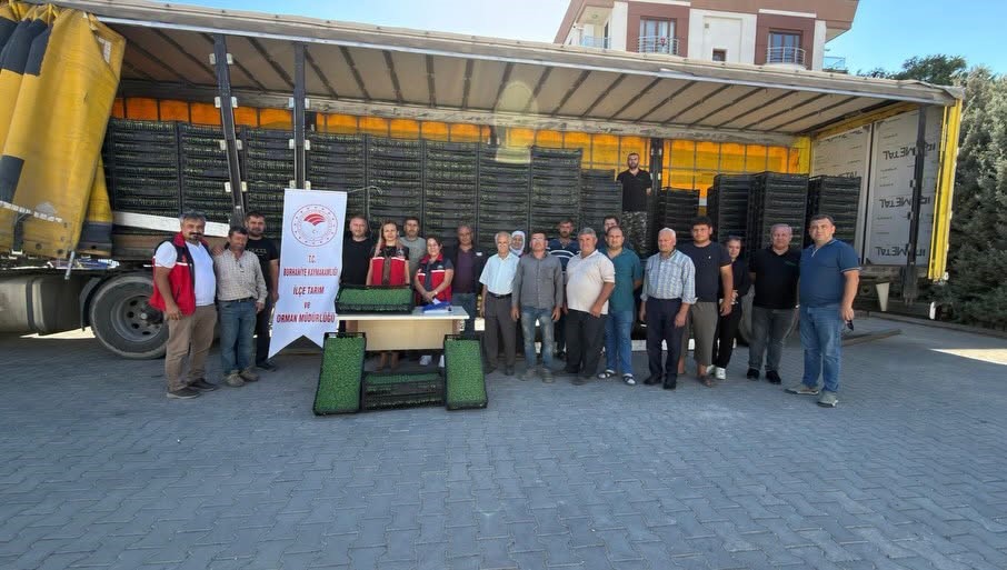 burhaniye-de-ciftcilere-300-bin-300-adet-marul-fidesi-dagitildi
