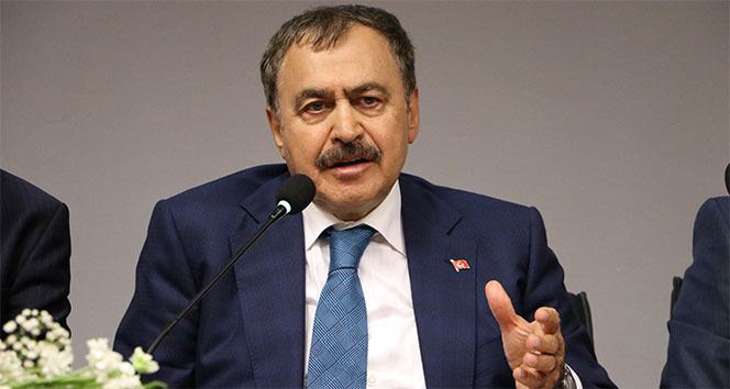 Bakan Eroğlu: '24 Haziran Miladımız Olacak'