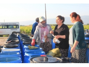 Üzüm Bağında Anneler Günü Kutlaması