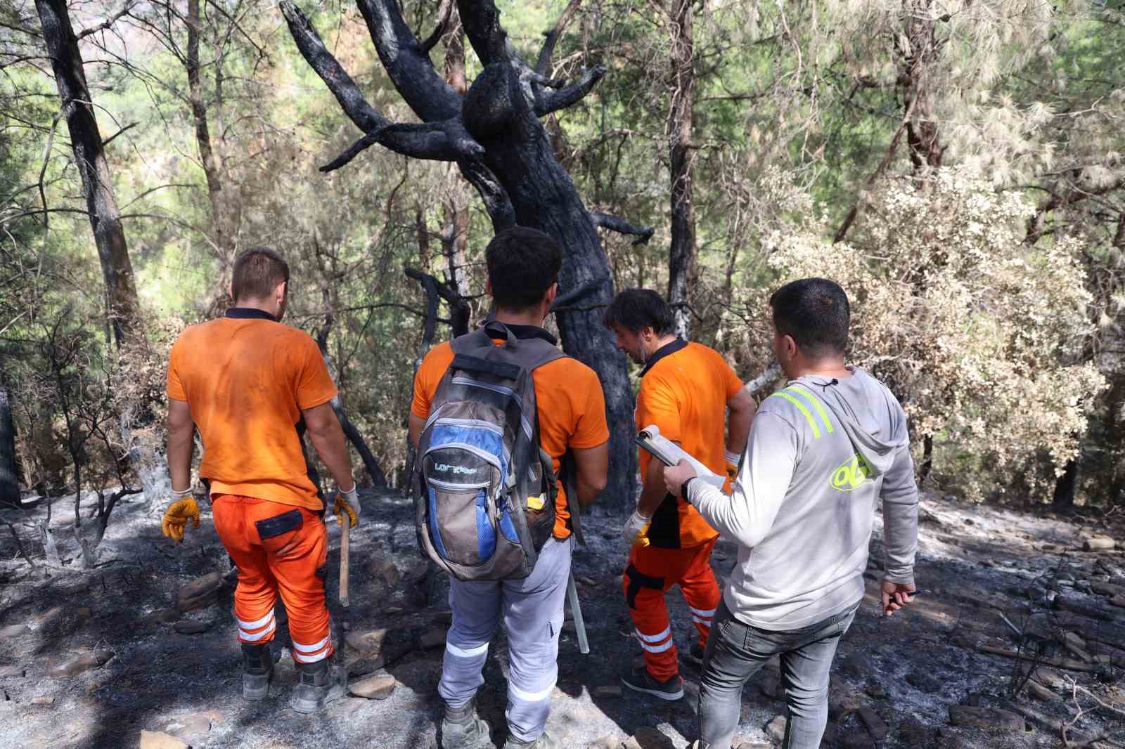 kozan-da-yanan-5-bin-900-hektarlik-alanda-yeniden-yesil-vatan-mesaisi-basladi-agaclar-tek-tek-damgalaniyor