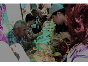 Bu Kabak Neredeyse 2 Metre Boyunda