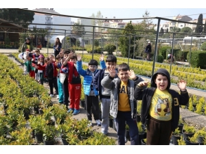 Şehrin Kalbinde Betonlar Arasında 94 Yıllık Oksijen Deposu