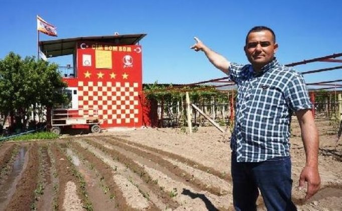 Bağ Evini Sarı-Kırmızıya Boyadı