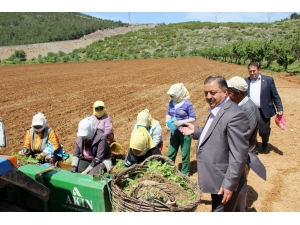 Baştuğ’dan Çiftçiler Günü Mesajı