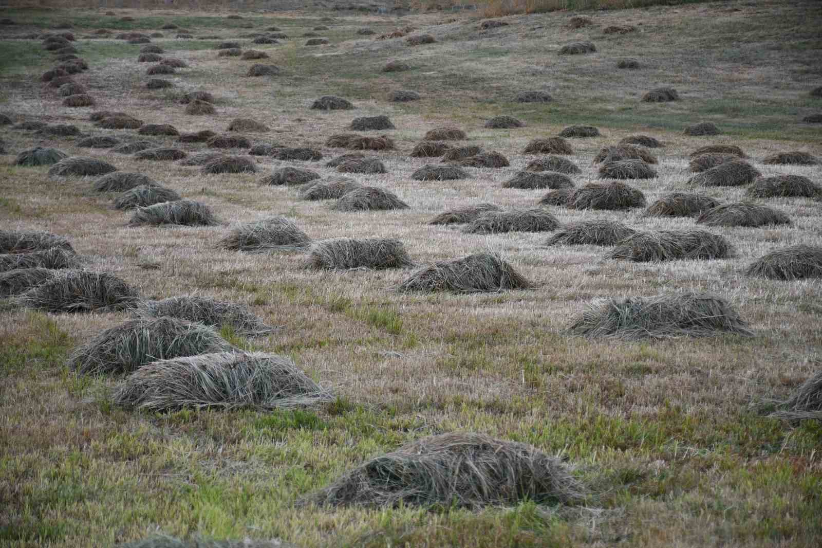 sirnak-ta-kis-hazirligi-basladi