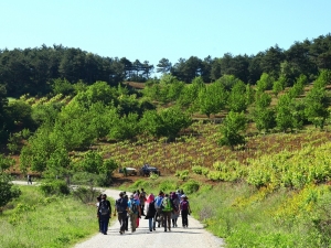 Doğa Yürüyüşleri Sona Erdi