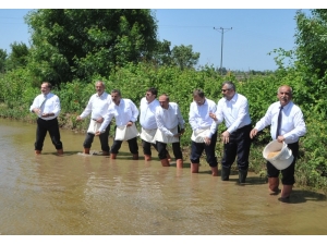 Bafra Ovası’nda Çeltik Tohumları Suyla Buluştu