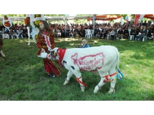 Bigadiç’te 30 Bin Kişiye Ayran İkramı Yapıldı