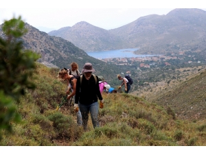 Antik Karia Yolunun Gönüllü İşçileri
