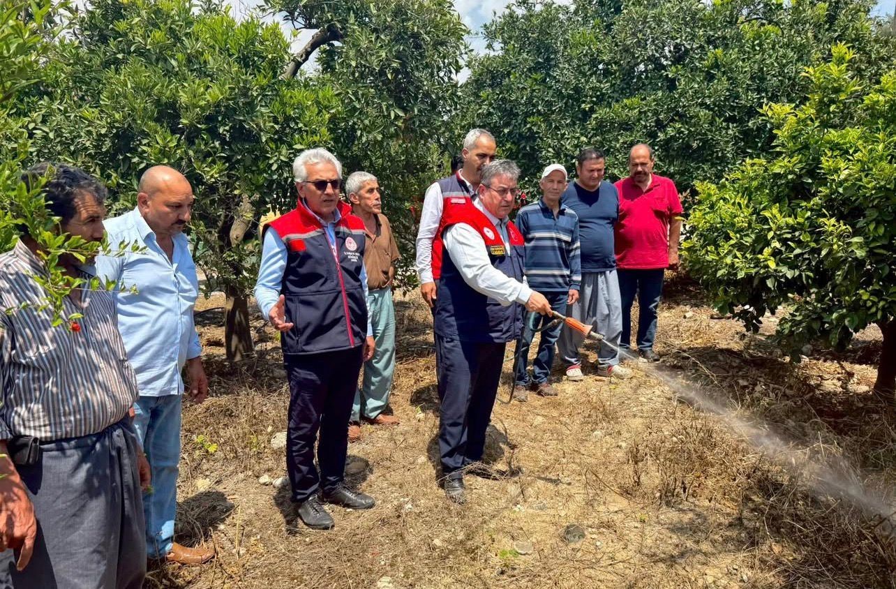 akdeniz-meyve-sinegiyle-mucadele-kesintisiz-suruyor