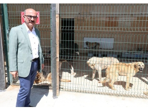 Tanrıkulu: "İddialar Asılsız Çıktı, Edirnelilerden Özür Dilemeliler"