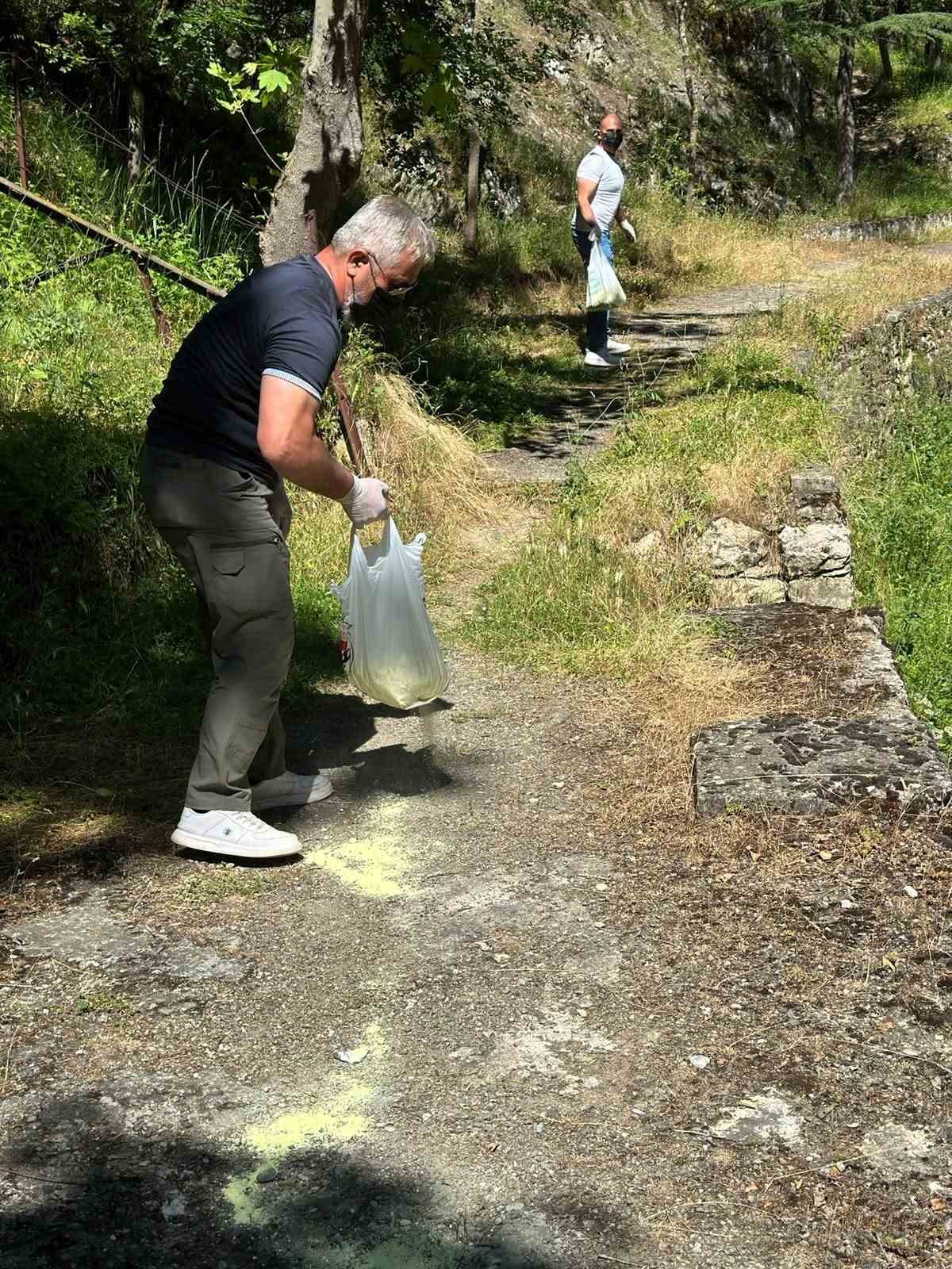 bilecik-te-piknik-alanlarinda-ilaclama-calismasi-gerceklestirildi
