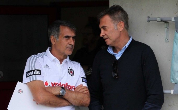 Beşiktaş'ta Güneş Ve Orman'ın Devler Ligi Zirvesi!