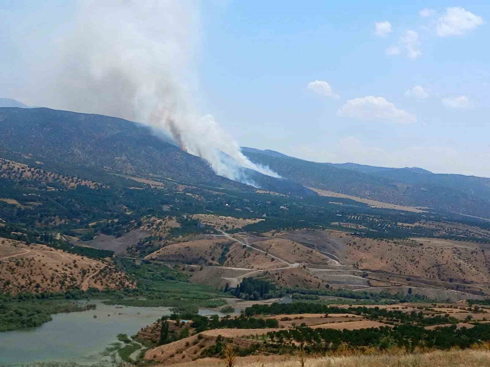 puturge-de-orman-yangini