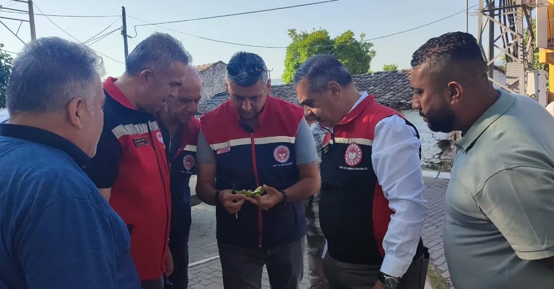 aydin-da-ilekleme-sezonu-yakindan-takip-ediliyor