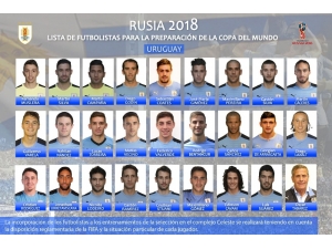 Muslera, Dünya Kupası Kadrosunda