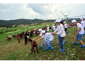 Adana’da Çocuklar Tarımla Buluştu
