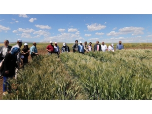 Osmaniyeli Nohut Üreticilerine Adıyaman Gezisi